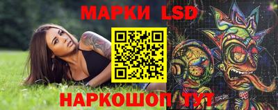 прущие крисы Вязьма